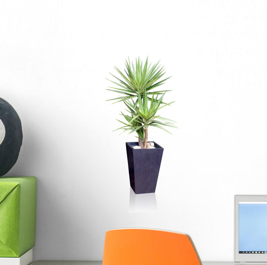 House Plant Yucca Wall Decal