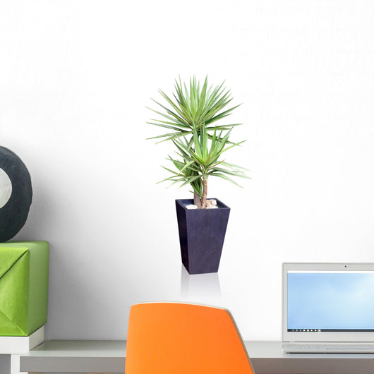 House Plant Yucca Wall Decal