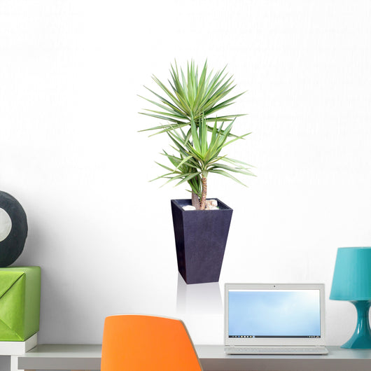 House Plant Yucca Wall Decal