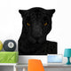 Black Jaguar Wall Decal
