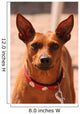 Hund Wall Decal