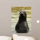 Carefully Seal Wall Decal