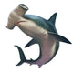 Hammerhead Shark Wall Decal