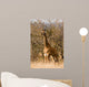 Baby Giraffe Wall Decal