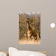 Baby Giraffe Wall Decal