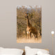 Baby Giraffe Wall Decal