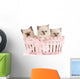 Three Ragdoll Kittens Wall Decal