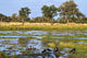 South Luangwa Scenery Wall Decal