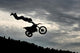 Fmx Wall Decal