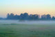 Fog over Meadows Wall Decal