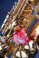 Gold Saxophone and Pink Rose on Blue Wall Mural