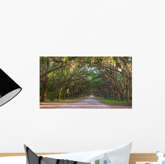 Dirt Road into Wormsloe Wall Decal