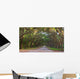Dirt Road into Wormsloe Wall Decal