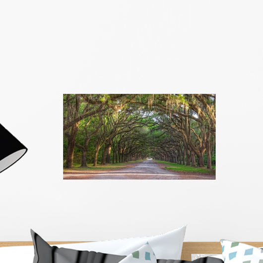 Dirt Road into Wormsloe Wall Decal
