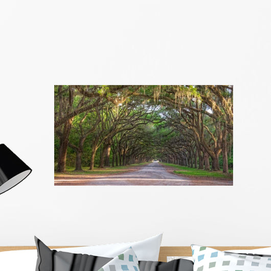 Dirt Road into Wormsloe Wall Decal