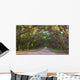 Dirt Road into Wormsloe Wall Decal
