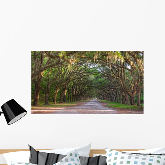 Dirt Road into Wormsloe Wall Decal