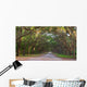 Dirt Road into Wormsloe Wall Decal