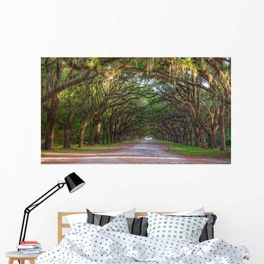 Dirt Road into Wormsloe Wall Decal