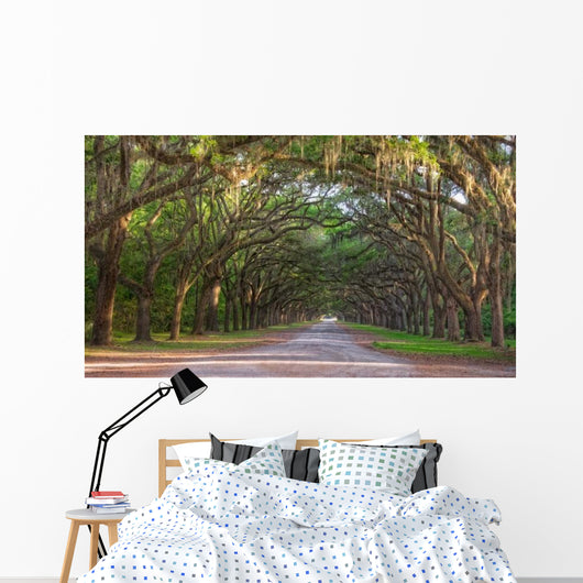 Dirt Road into Wormsloe Wall Decal