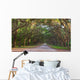 Dirt Road into Wormsloe Wall Decal