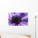 Close-up Purple Anemone Flower Wall Mural