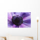 Close-up Purple Anemone Flower Wall Mural