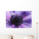 Close-up Purple Anemone Flower Wall Mural