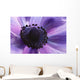Close-up Purple Anemone Flower Wall Mural