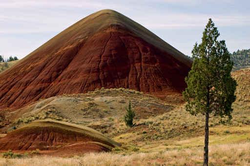 Red Hill Wall Decal