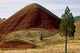Red Hill Wall Decal