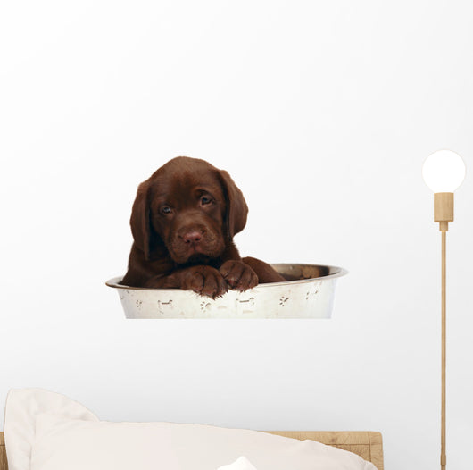 Puppy Big Bowl Wall Decal
