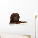 Puppy Big Bowl Wall Decal
