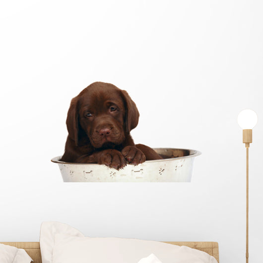 Puppy Big Bowl Wall Decal
