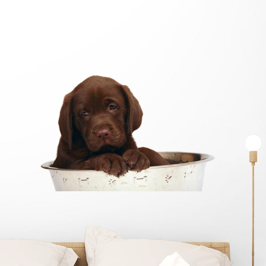 Puppy Big Bowl Wall Decal