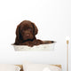 Puppy Big Bowl Wall Decal
