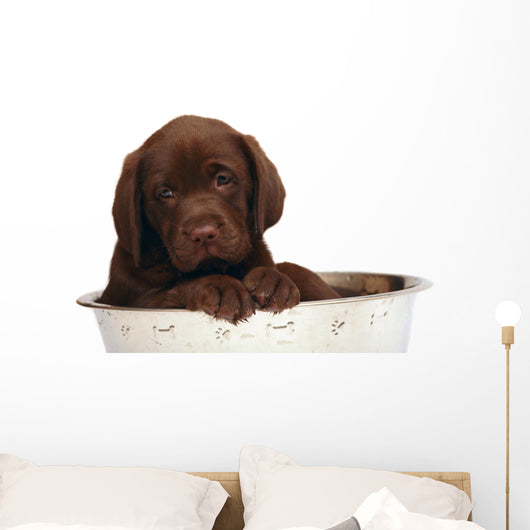 Puppy Big Bowl Wall Decal