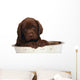 Puppy Big Bowl Wall Decal