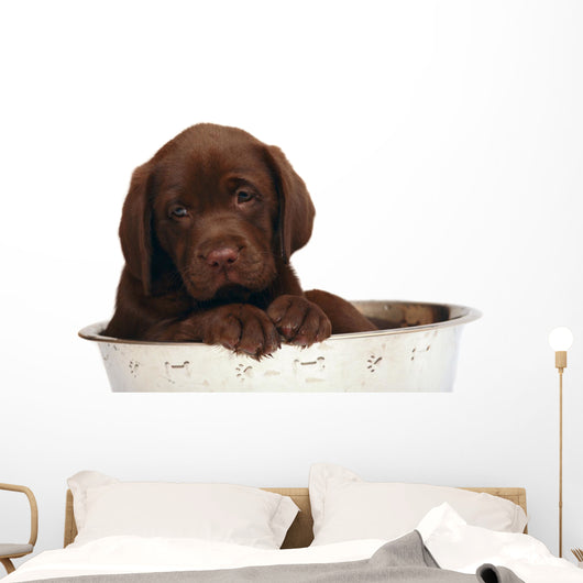 Puppy Big Bowl Wall Decal