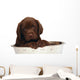 Puppy Big Bowl Wall Decal