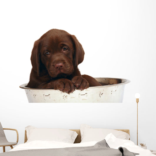 Puppy Big Bowl Wall Decal