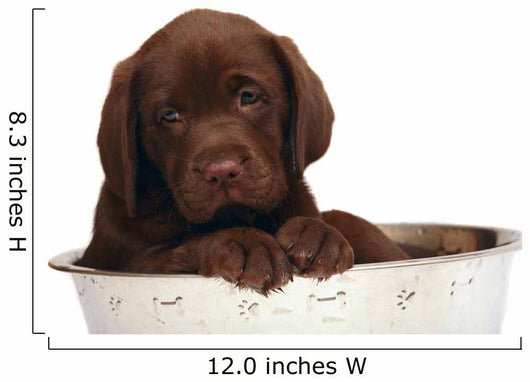 Puppy Big Bowl Wall Decal