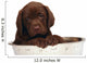 Puppy Big Bowl Wall Decal