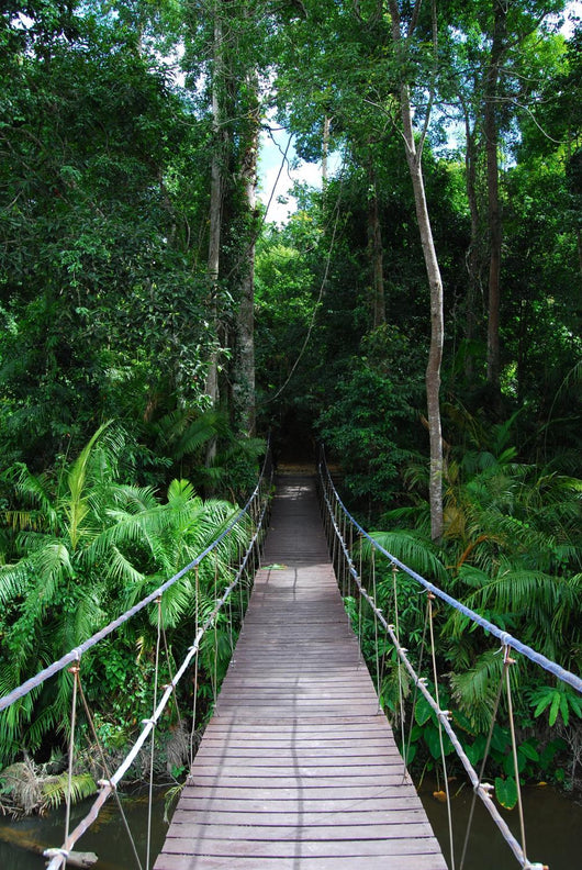 Rope Bridge Wall Decal