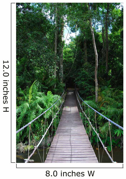 Rope Bridge Wall Decal