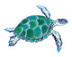 Hand Drawn Vector Turtle Wall Decal