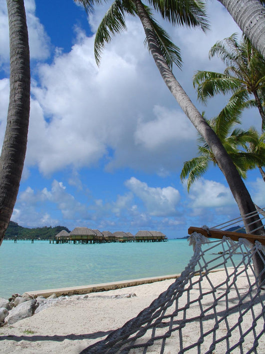 Island Hammock Wall Decal