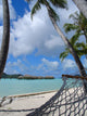 Island Hammock Wall Decal