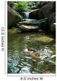 Koi Fish Wall Decal