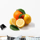 Fruits Wall Decal